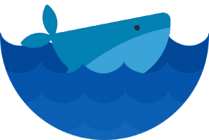 baleine basque,agence web,agence
